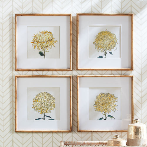 Chrysanthemum Print Wall Art Set of 4