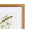 Perching Bird Study Petite Wall Art Set of 4