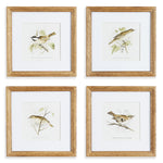 Perching Bird Study Petite Wall Art Set of 4