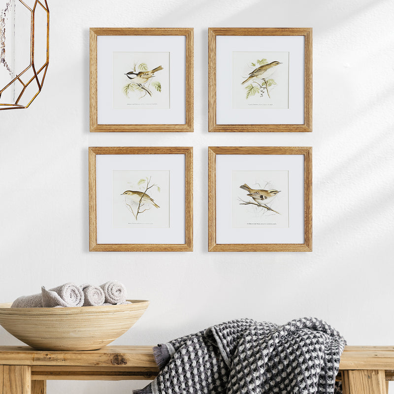 Perching Bird Study Petite Wall Art Set of 4