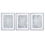 Fern Frond Print Wall Art Set of 3