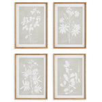 Foliage Study Wall Art Set of 4