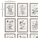 Rustic Foliage Study Wall Art Set of 9