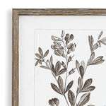 Rustic Foliage Study Wall Art Set of 9