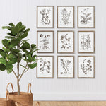 Rustic Foliage Study Wall Art Set of 9