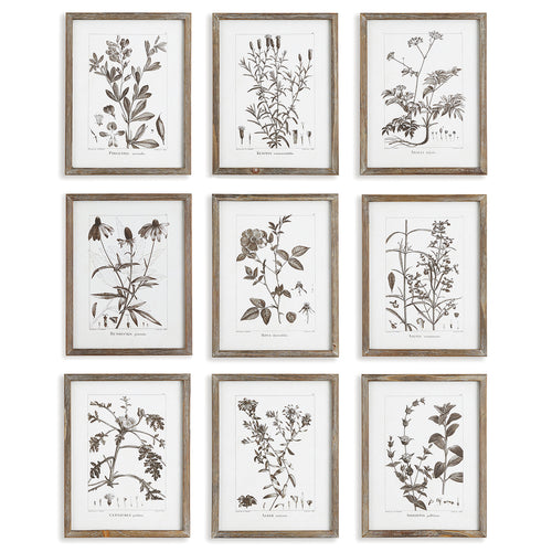 Rustic Foliage Study Wall Art Set of 9