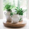 Etu Home White Italian Olive Jar Planter