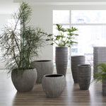 Phillips Collection Filament Planter