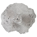 Phillips Collection Jagged Splash Bowl Wall Art