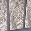 Phillips Collection Coral Reef Wall Art