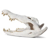 Phillips Collection Crocodile Skull Sculpture