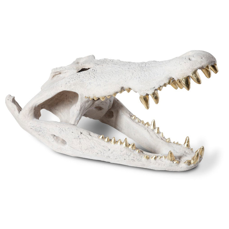 Phillips Collection Crocodile Skull Sculpture