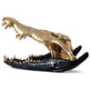 Phillips Collection Crocodile Skull Sculpture