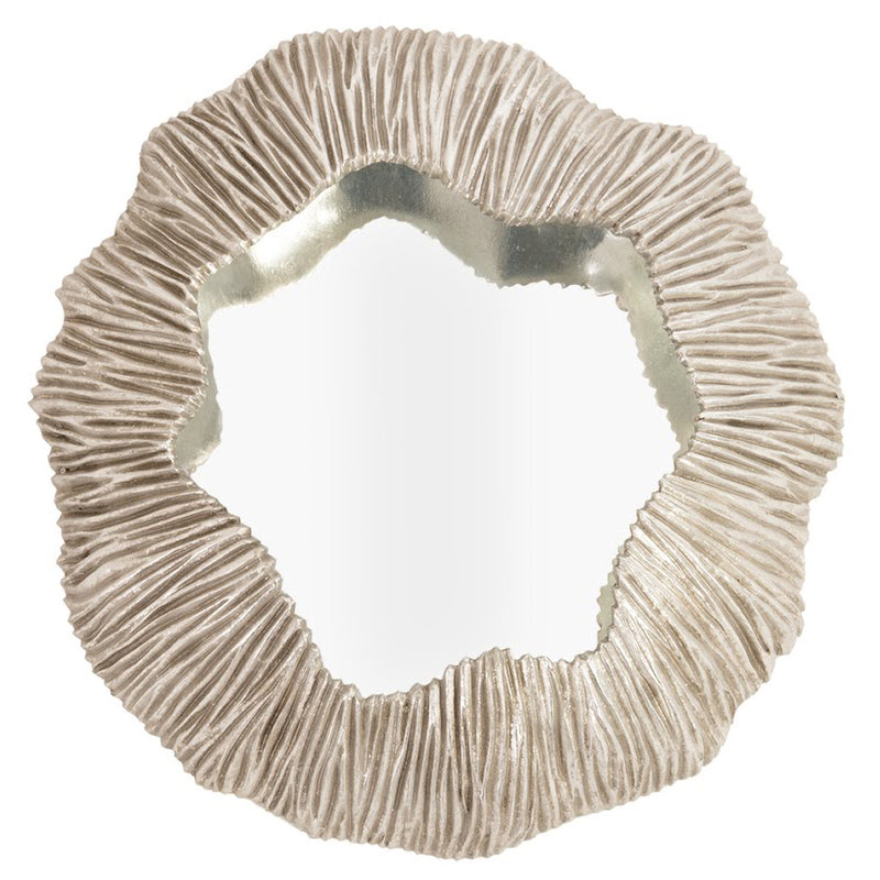 Phillips Collection Fungia Mirror