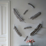 Phillips Collection Feather Wall Art Set of 2