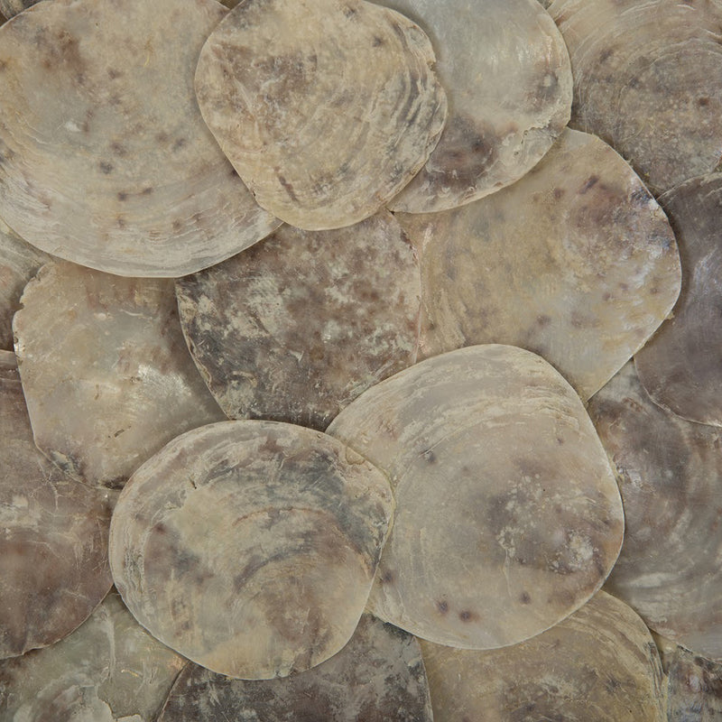 Phillips Collection Shell Wall Tile