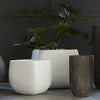 Phillips Collection Swell Planter