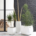 Phillips Collection Swell Planter