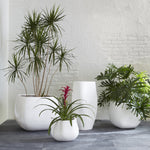 Phillips Collection Swell Planter