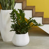 Phillips Collection Amorphous Outdoor Planter