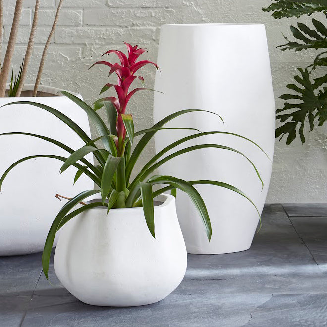 Phillips Collection Amorphous Outdoor Planter