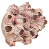 Phillips Collection Barnacle Cluster Wall Art