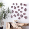 Phillips Collection Barnacle Cluster Wall Art