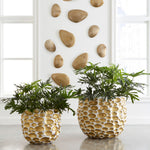 Phillips Collection Bubbles Planter