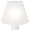 Arteriors Vanhorne Table Lamp