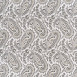 Baker Lifestyle Home & Garden II Kathak Paisley Wallpaper