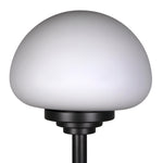 Noir Charlotte Table Lamp