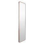 Aranya Floor Wall Mirror