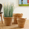 Seagrass Tapered Handle And Cuffs Basket Set of 3