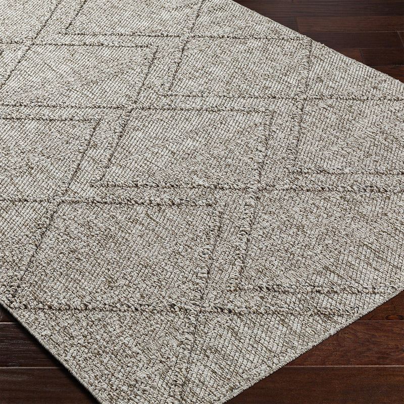 Livabliss Sarasota Woven Indoor/Outdoor Rug