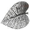 Phillips Collection Birch Leaf Wall Art