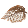 Phillips Collection Birch Leaf Wall Art