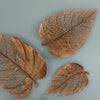 Phillips Collection Birch Leaf Wall Art