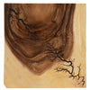 Phillips Collection Lightning Wall Tile