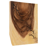 Phillips Collection Lightning Wall Tile