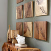 Phillips Collection Lightning Wall Tile