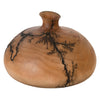 Phillips Collection Lightning Vase