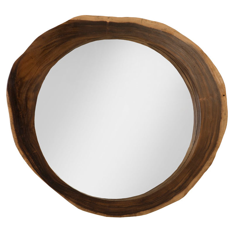 Phillips Collection Freeform Mirror