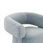 TOV Furniture River Velvet Accent Chair