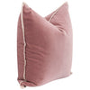 The Not So Basic Essential Velvet Pillow Set of 2