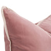 The Not So Basic Essential Velvet Pillow Set of 2