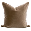 The Not So Basic Essential Velvet Pillow Set of 2