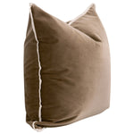 The Not So Basic Essential Velvet Pillow Set of 2