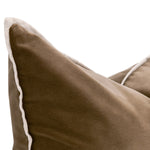 The Not So Basic Essential Velvet Pillow Set of 2