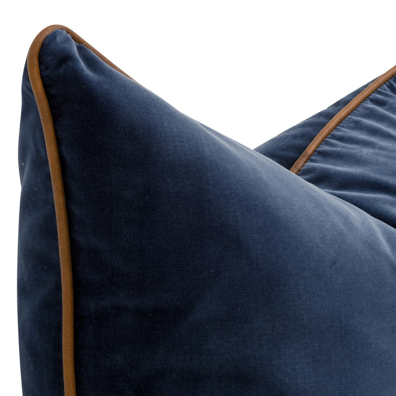 The Not So Basic Essential Velvet Pillow Set of 2