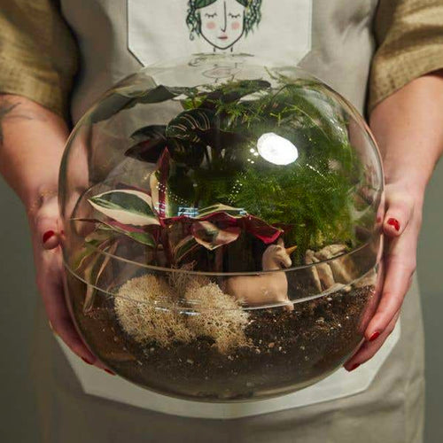 Observatory Terrarium